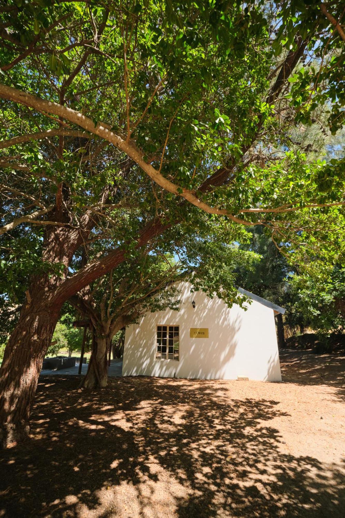 Boskloof Swemgat Villa Clanwilliam Exterior photo