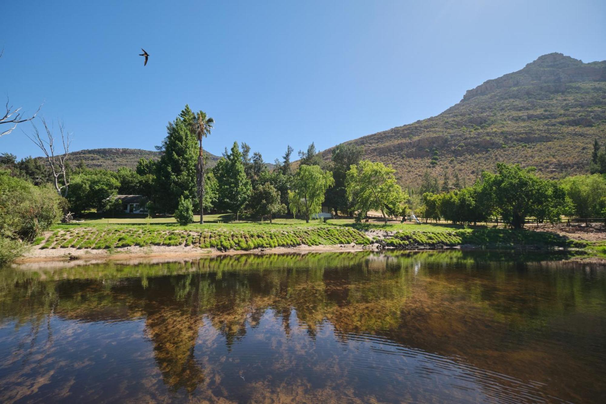 Boskloof Swemgat Villa Clanwilliam Exterior photo